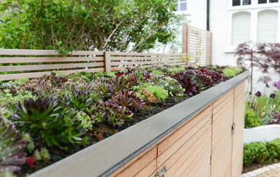 12 Enclosure Ideas for Trash Bins, Compost Piles and AC Units