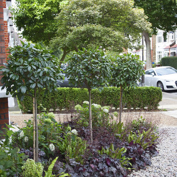Front Garden Design - Turney Road