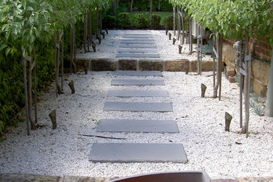 Cette image montre un aménagement d'entrée ou allée de jardin latéral design avec du gravier.