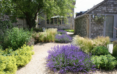 9 Ways to Use Lavender in Your Garden Design