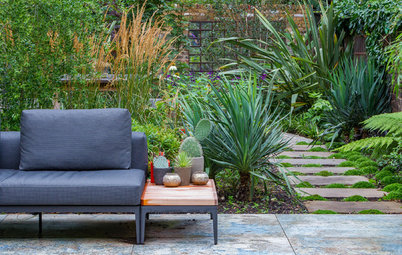 Lush Foliage and Bold Furniture Transform a City Yard