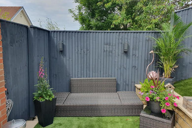Photo of a medium sized modern back garden in Other.