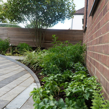 Garden Planting Design and Landscaping in St Albans