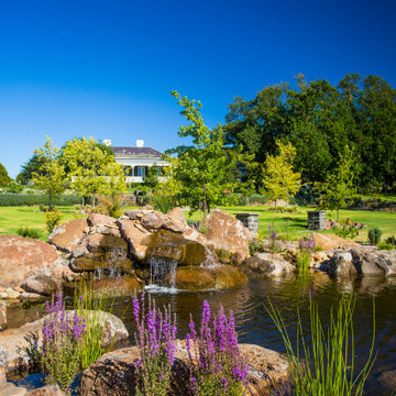 Garden ponds, creeks and billabongs