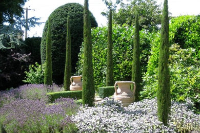 Imagen de jardín mediterráneo en patio trasero con jardín francés