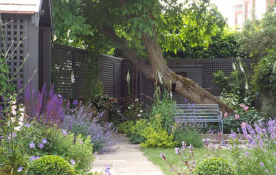 Landscape Designers Share 8 Tips for Creating a Cohesive Garden