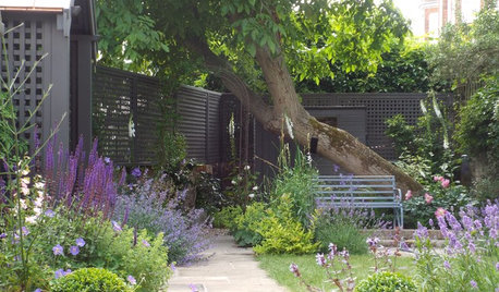 Landscape Designers Share 8 Tips for Creating a Cohesive Garden