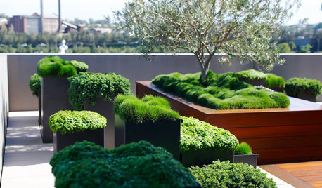 13 Questions to Ask Before Building a Rooftop Terrace