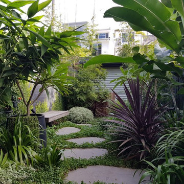 Glebe Tropical Courtyard