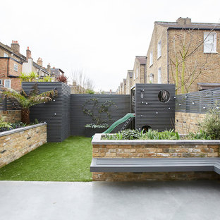 Design ideas for a medium sized contemporary back garden in London with a potted garden and concrete paving.