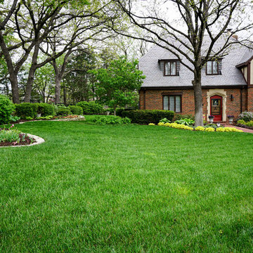 Grass lawn with curved landscape design