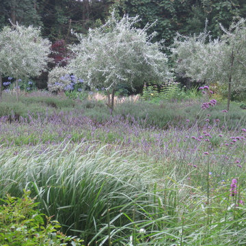 Hampshire Country Garden
