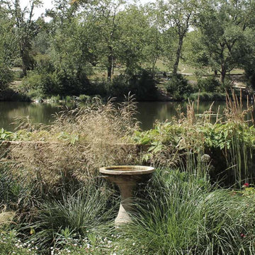 Hampstead Heath Ponds Garden