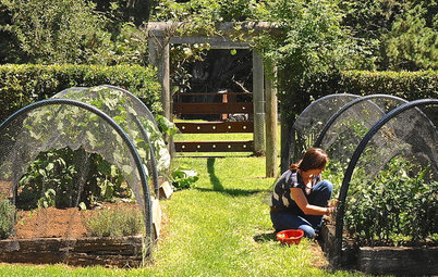 Houzz Call: Home Farmers, Show Us Your Edible Gardens