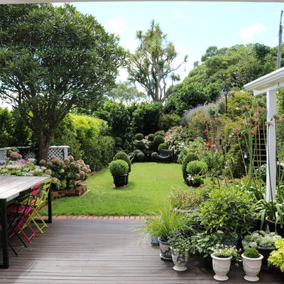 Design ideas for a mid-sized contemporary backyard landscaping in Wellington with decking.