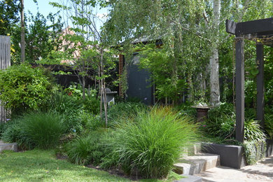 Photo of a modern garden in Melbourne.