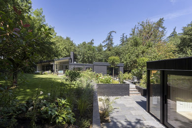 Пример оригинального дизайна: большой участок и сад на заднем дворе в стиле модернизм с полуденной тенью и покрытием из каменной брусчатки