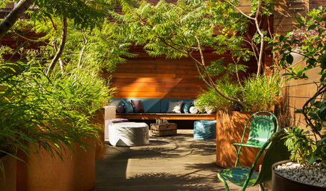 10 Trees That Work in a Small Garden