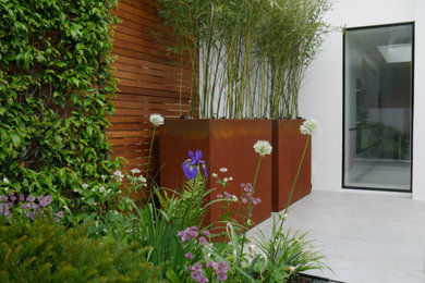 Design ideas for a small contemporary back partial sun garden for summer in London with concrete paving.