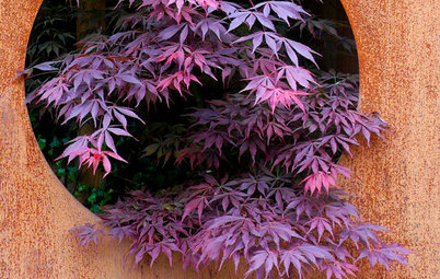 10 Ways to Use Deep Purple Foliage in Your Garden