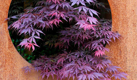 10 Ways to Use Deep Purple Foliage in Your Garden