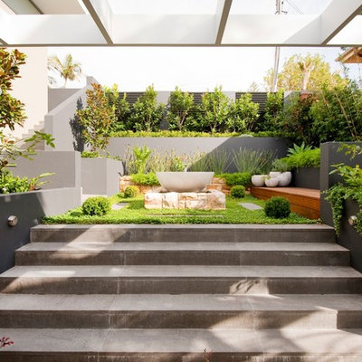 Design ideas for a contemporary landscaping in Sydney.