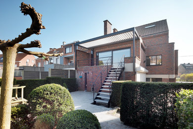 Contemporary garden in Buckinghamshire.