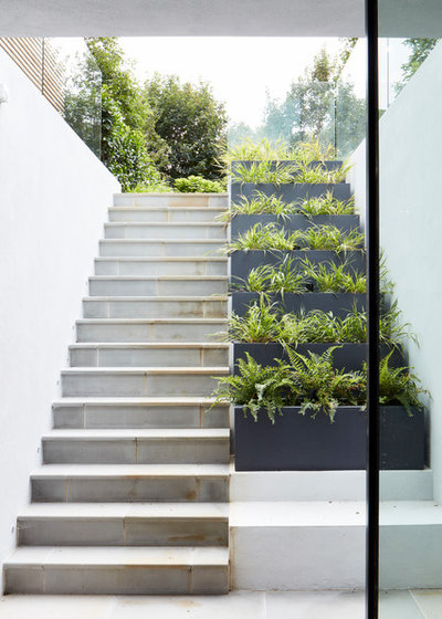 Contemporary Garden by ade architecture ltd