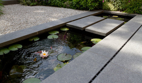 How to Introduce a Water Feature to Your Garden