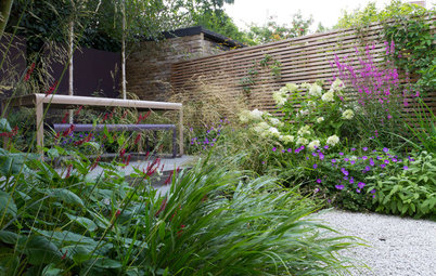 A London Courtyard Garden Becomes a Serene Oasis