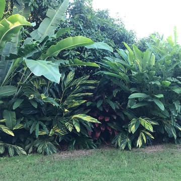 Indooroopilly Two