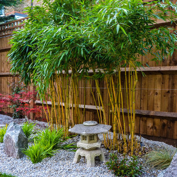 Japanese Garden in West Acton