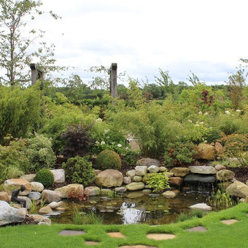 Japanese Garden Pond