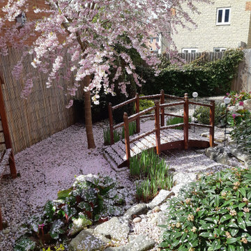 Japanese style garden