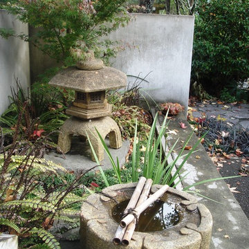Japanese Woodland Garden