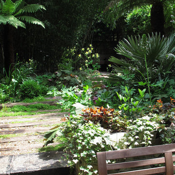 Jungle garden