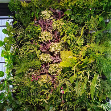 K20 Architects Lunch Room plant wall restoration