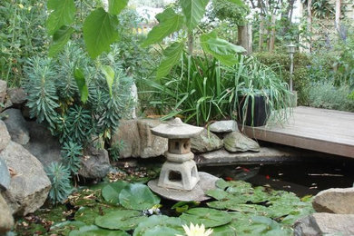 キャンベラにあるラグジュアリーな広いアジアンスタイルのおしゃれな庭 (半日向、デッキ材舗装) の写真