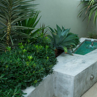 This is an example of a small contemporary courtyard concrete paver water fountain landscape in Perth.