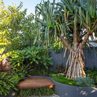 Tropical backyard garden in Brisbane.
