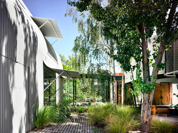 Modern Garden by Austin Maynard Architects