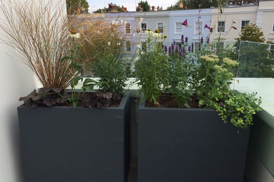 This is an example of a medium sized contemporary garden in London.