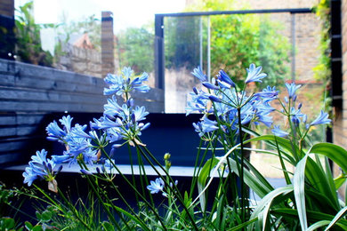 ロンドンにあるお手頃価格の小さなコンテンポラリースタイルのおしゃれな庭の写真