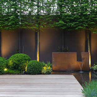 Ispirazione per un giardino minimal con fontane e pedane