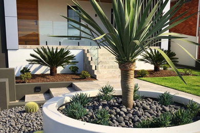 Cette image montre un grand jardin avant minimaliste avec une exposition ensoleillée et des pavés en pierre naturelle.