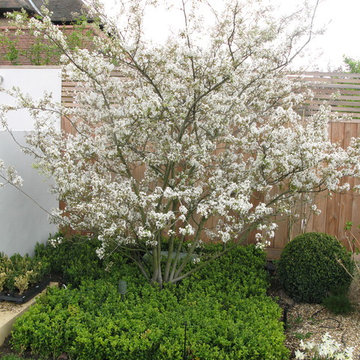 Large Family Garden