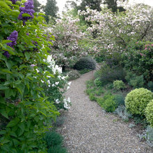 Blue/Purple/White gardens Cambridge and Belmont MA