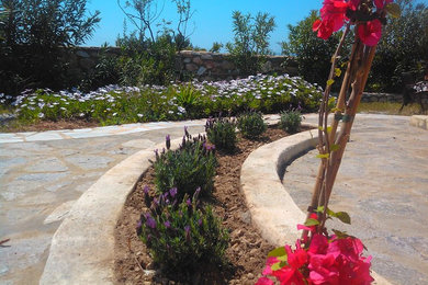 Lavander Garden Paros Greece