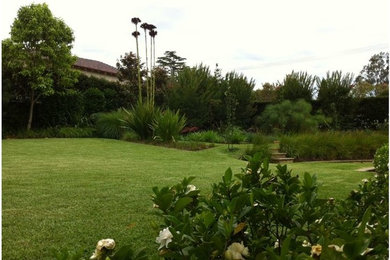 シドニーにあるおしゃれな庭の写真