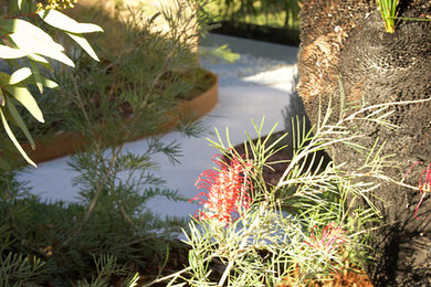 Diseño de jardín de secano contemporáneo con exposición total al sol